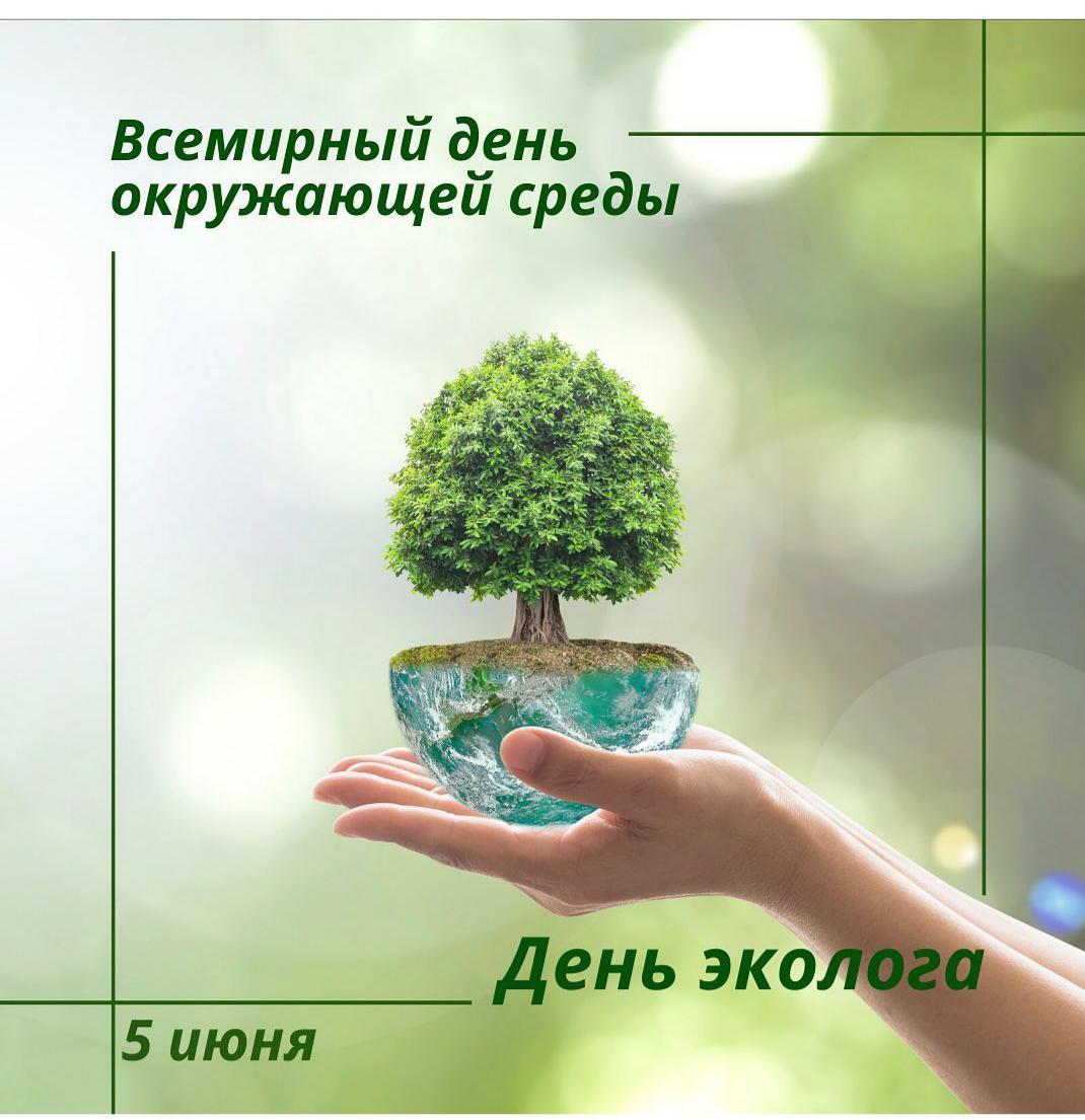 День экологии 2024 1