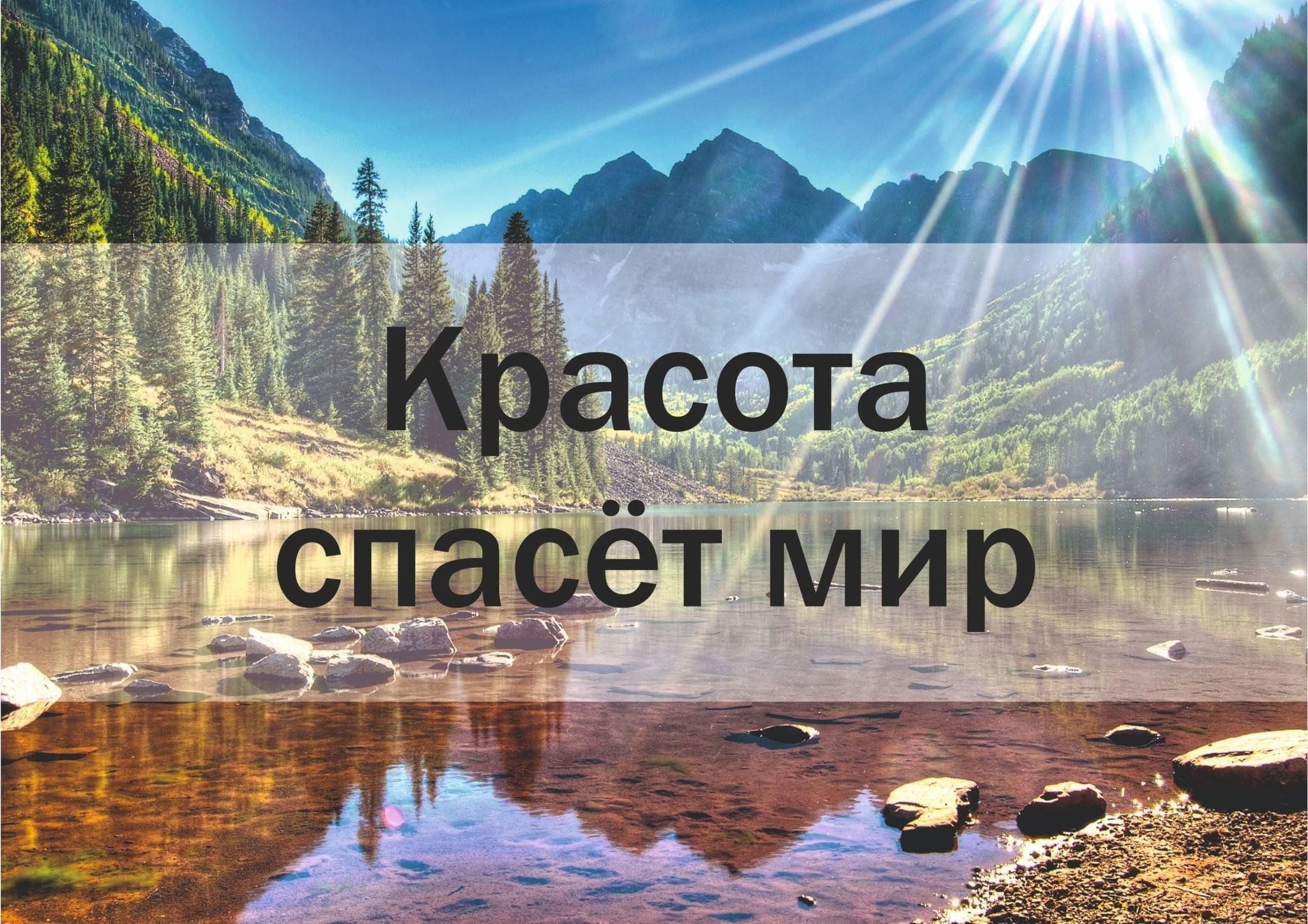 ландшафт 2024 1