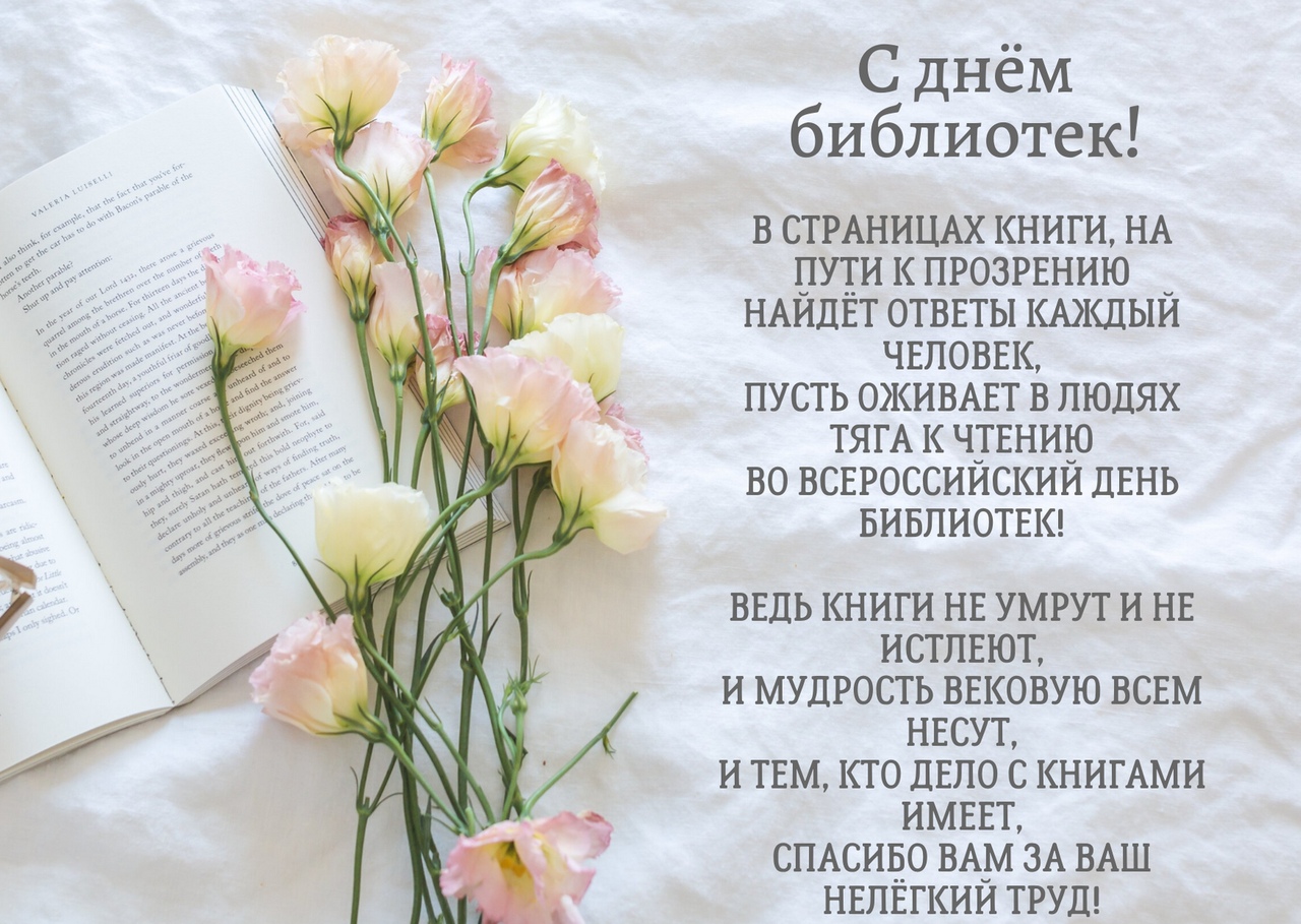 день библиотек 2026 6