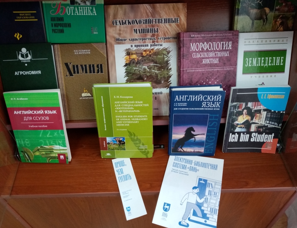 день з. 4